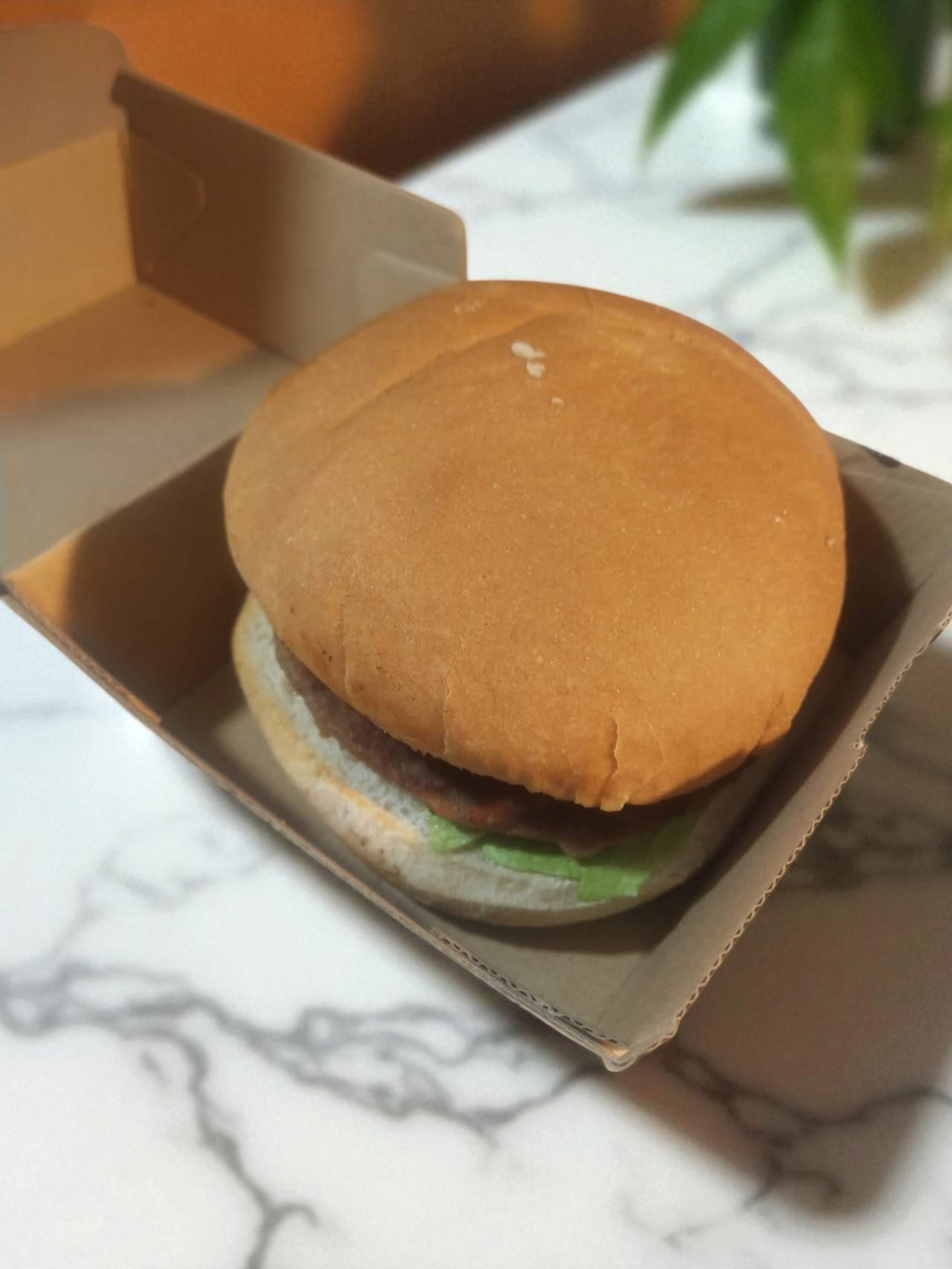 Plain/Beef Burger