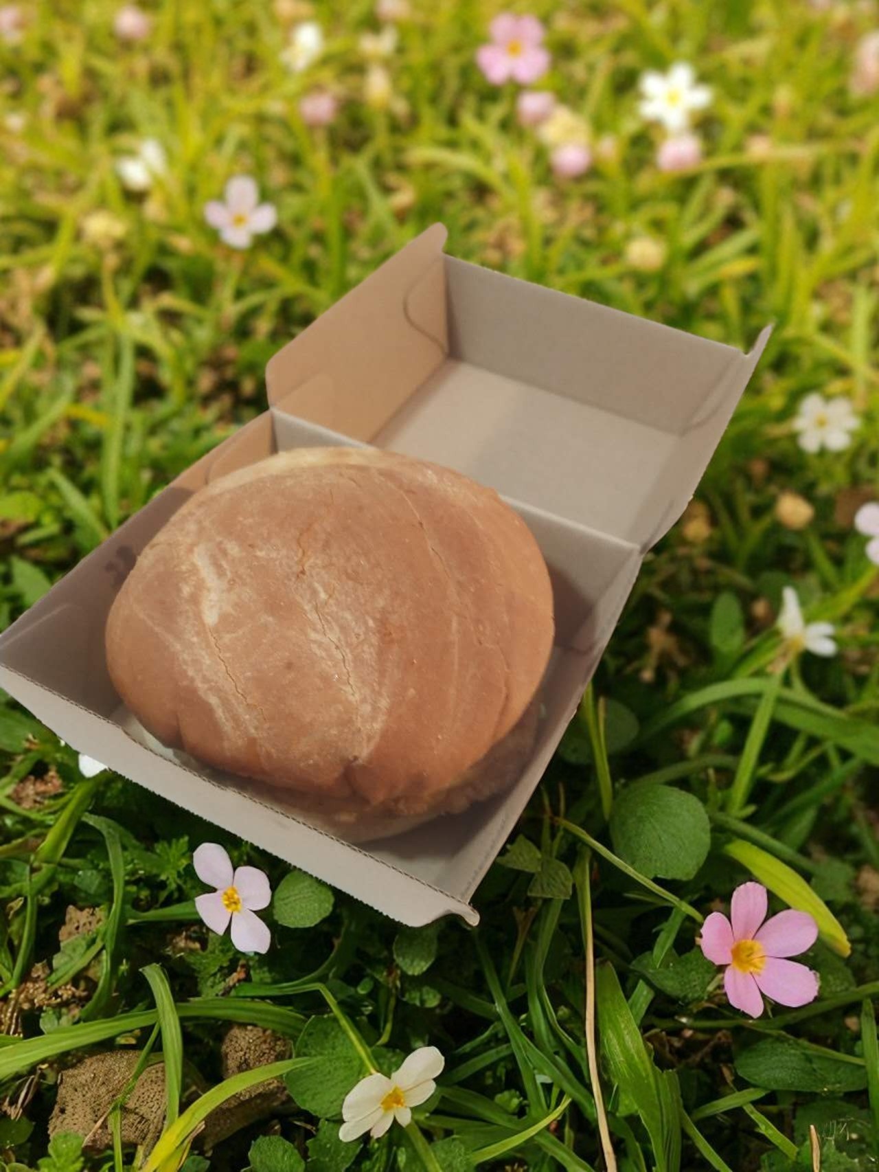 Chicken Burger